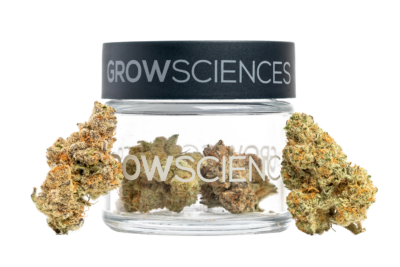 GROW SCIENCES | 40% OFF